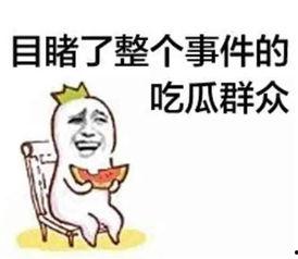 娱乐吃瓜蜀黍广告语是什么,揭秘娱乐圈那些事儿